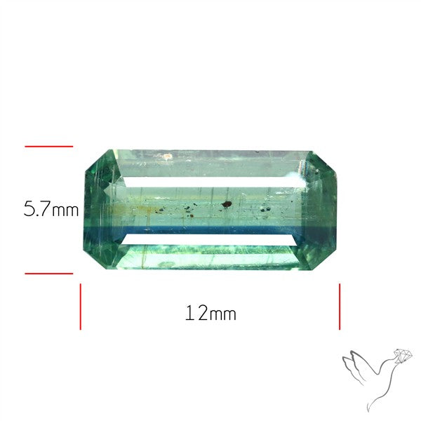 Rare Bi-color Kyanite Natural Blue Green Fine Gemstone