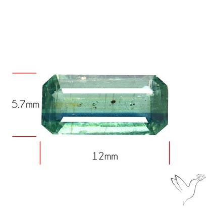 Rare Bi-color Kyanite Natural Blue Green Fine Gemstone