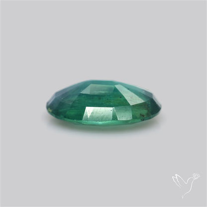Rare Bi-color Kyanite Natural Blue Green Fine Gemstone