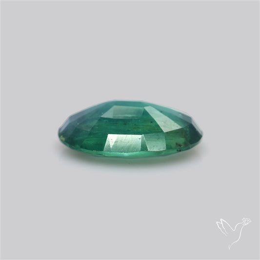 Rare Bi-color Kyanite Natural Blue Green Fine Gemstone