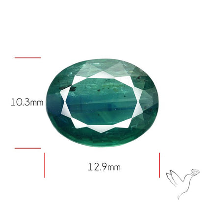 Rare Bi-color Kyanite Natural Blue Green Fine Gemstone