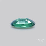 Rare Bi-color Kyanite Natural Blue Green Fine Gemstone