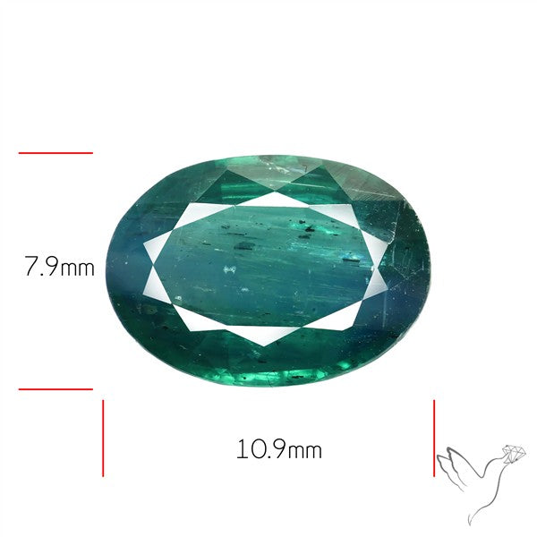 Rare Bi-color Kyanite Natural Blue Green Fine Gemstone