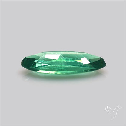 Fine Green Kyanite Rare Natural Green
