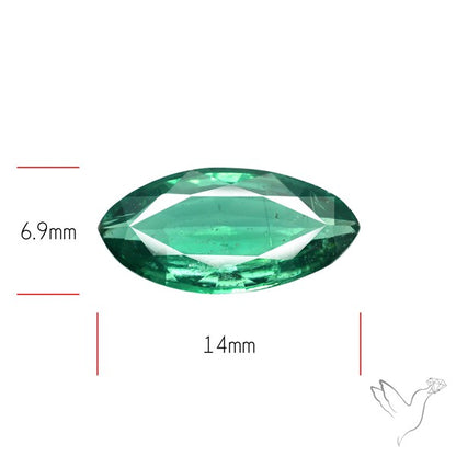 Fine Green Kyanite Rare Natural Green