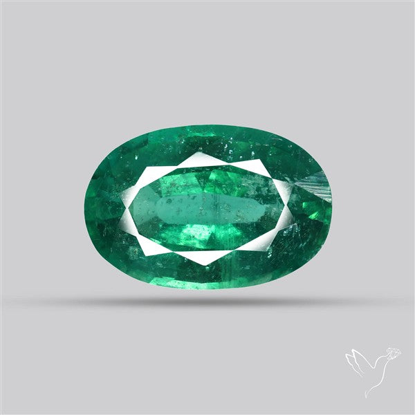Fine Green Kyanite Rare Natural Green