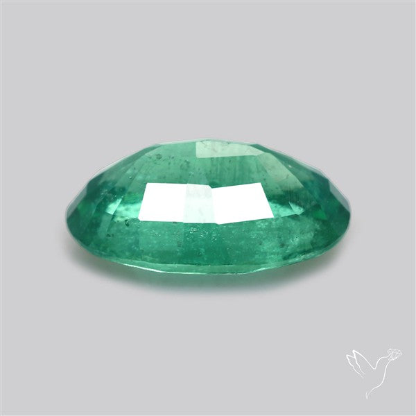Fine Green Kyanite Rare Natural Green