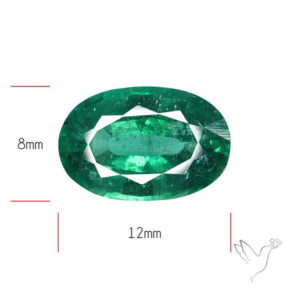 Fine Green Kyanite Rare Natural Green