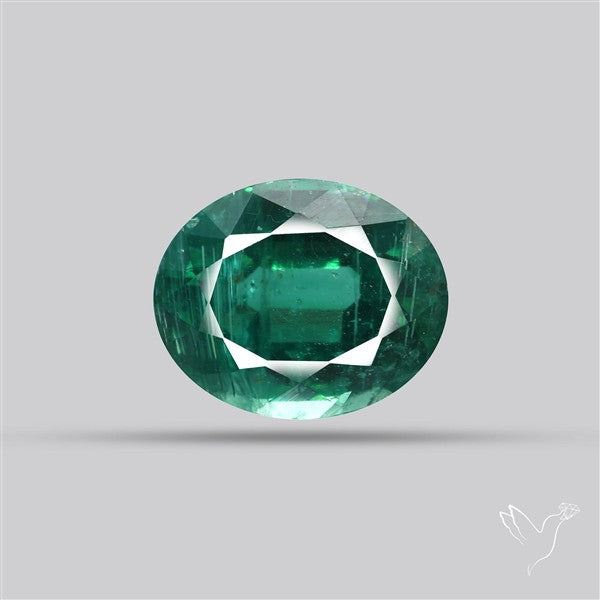 Fine Green Kyanite Rare Natural Green