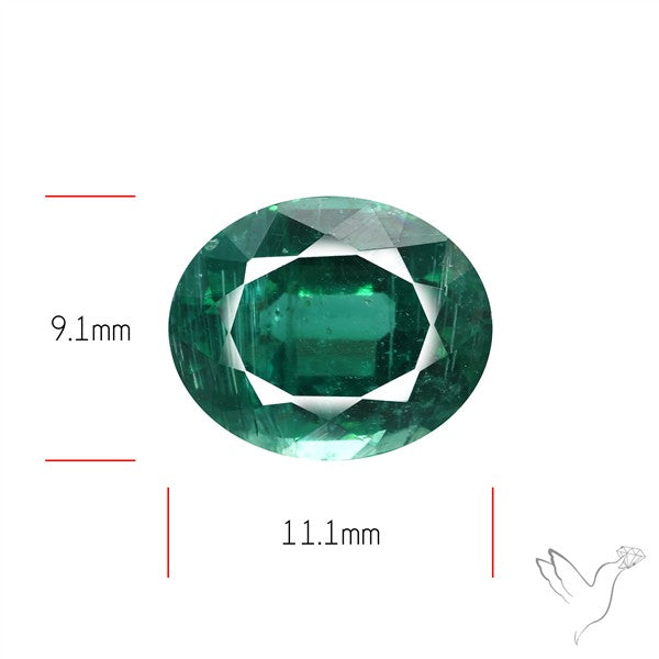Fine Green Kyanite Rare Natural Green
