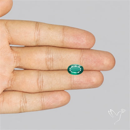 Fine Green Kyanite Rare Natural Green