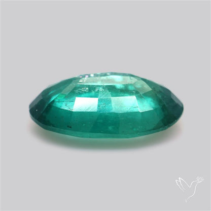 Fine Green Kyanite Rare Natural Green