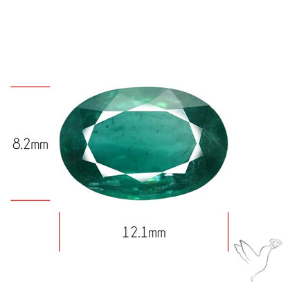 Fine Green Kyanite Rare Natural Green