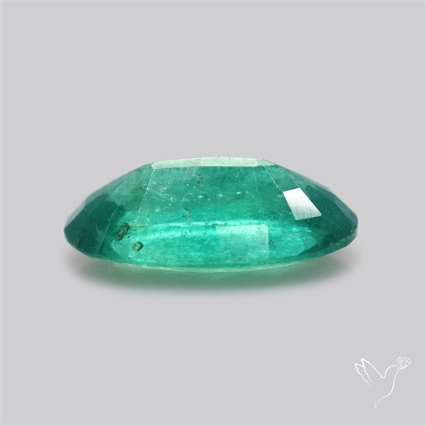 Fine Green Kyanite Rare Natural Green