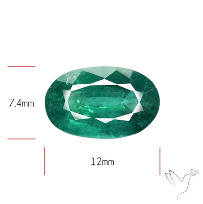 Fine Green Kyanite Rare Natural Green