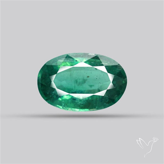 Fine Green Kyanite Rare Natural Green
