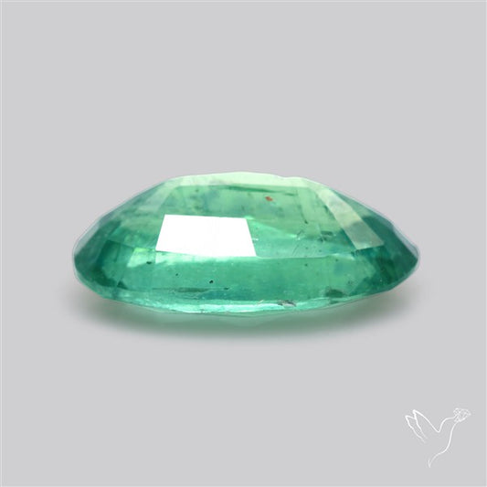 Fine Green Kyanite Rare Natural Green