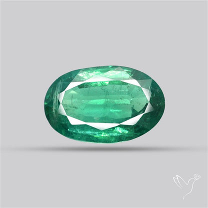 Fine Green Kyanite Rare Natural Green