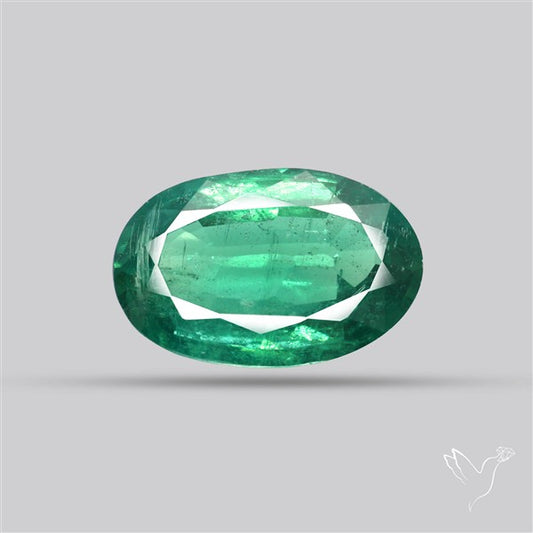 Fine Green Kyanite Rare Natural Green