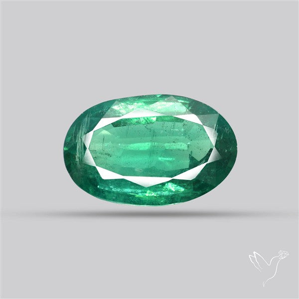 Fine Green Kyanite Rare Natural Green