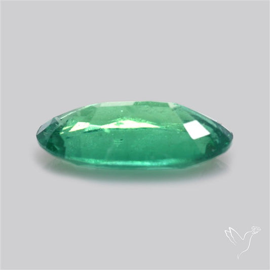 Fine Green Kyanite Rare Natural Green