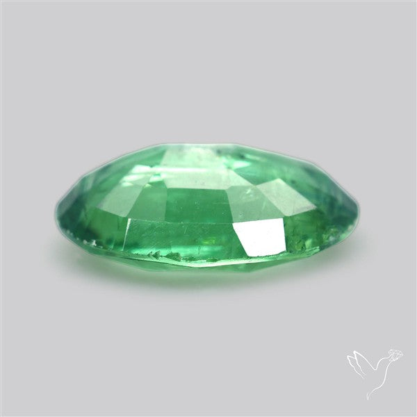 Fine Green Kyanite Rare Natural Green