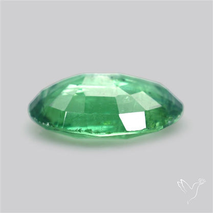 Fine Green Kyanite Rare Natural Green