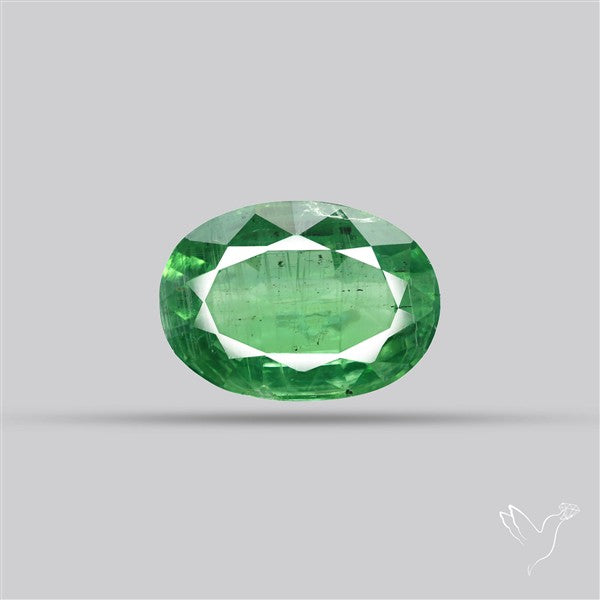 Fine Green Kyanite Rare Natural Green