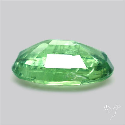 Fine Green Kyanite Rare Natural Green