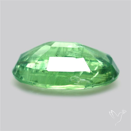 Fine Green Kyanite Rare Natural Green