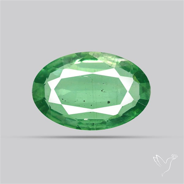 Faceted Green Kyanite Fine Gemstone