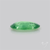 Faceted Green Kyanite Fine Gemstone