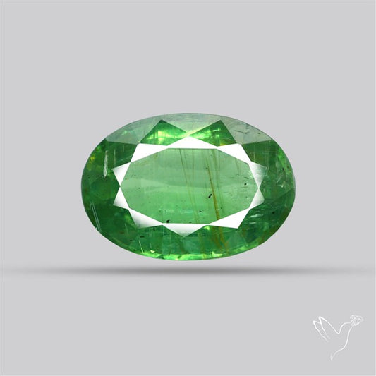 Fine Green Kyanite Rare Natural Green