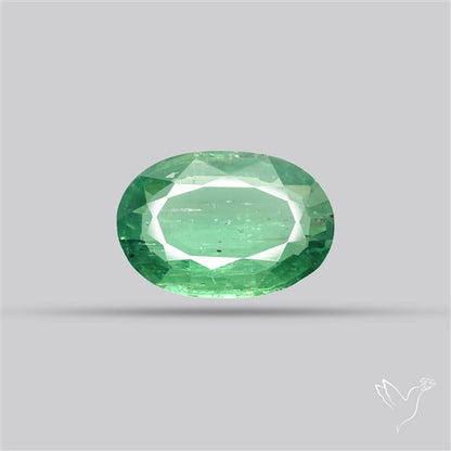 Fine Green Kyanite Rare Natural Green