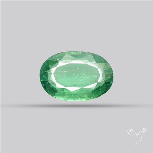 Fine Green Kyanite Rare Natural Green