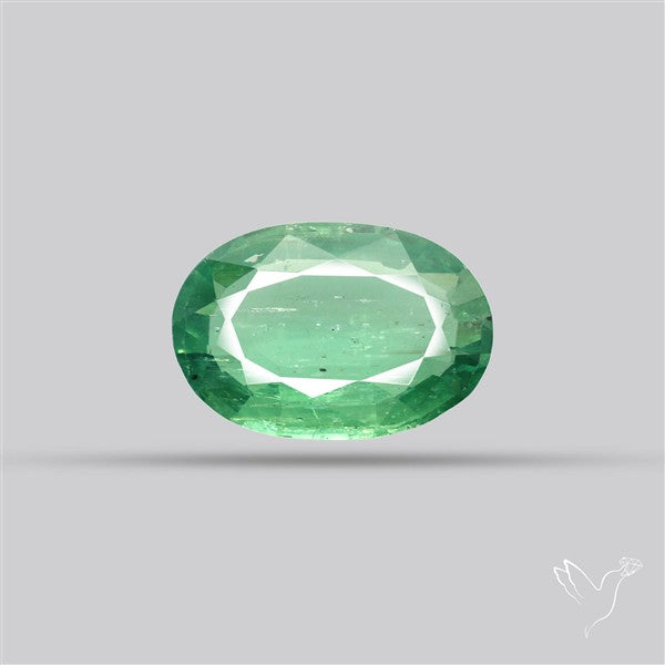 Fine Green Kyanite Rare Natural Green