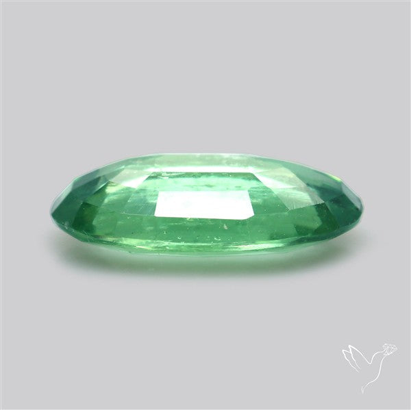 Fine Green Kyanite Rare Natural Green