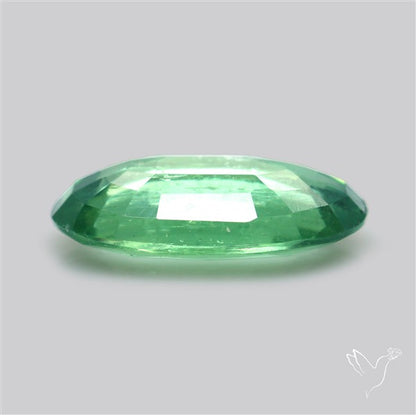 Fine Green Kyanite Rare Natural Green