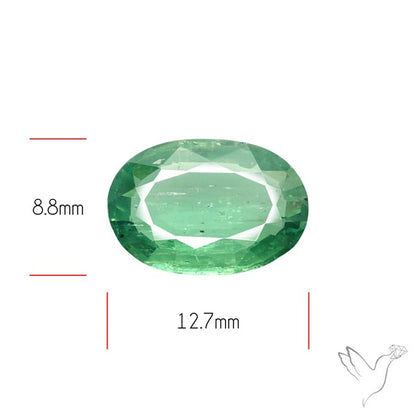 Fine Green Kyanite Rare Natural Green