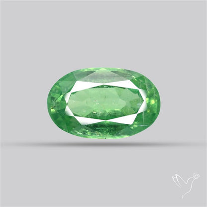 Fine Green Kyanite Rare Natural Green