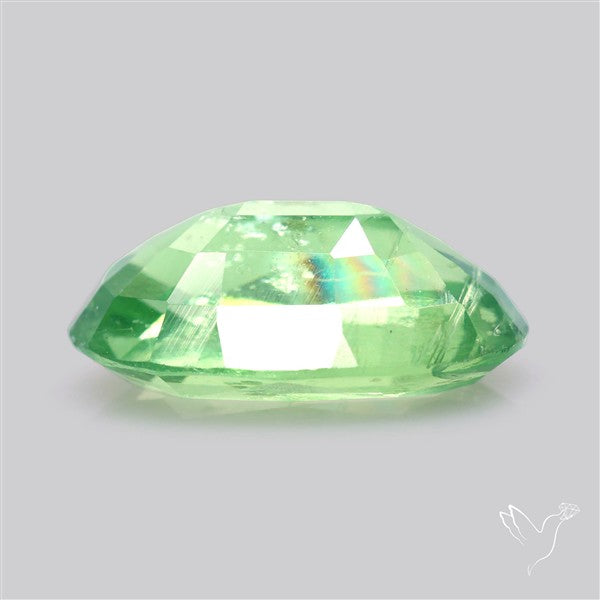 Fine Green Kyanite Rare Natural Green