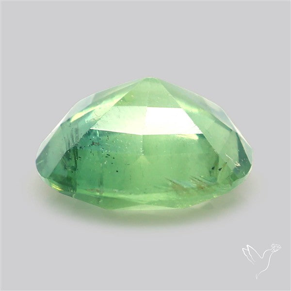 Fine Green Kyanite Rare Natural Green