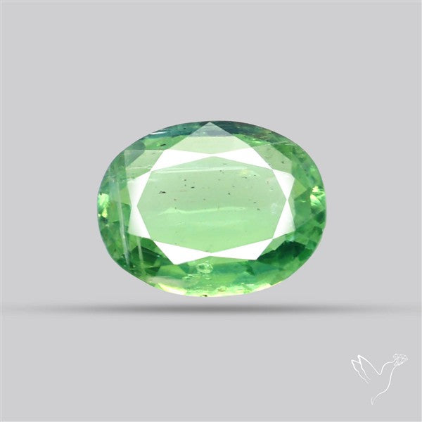 Fine Green Kyanite Rare Natural Green