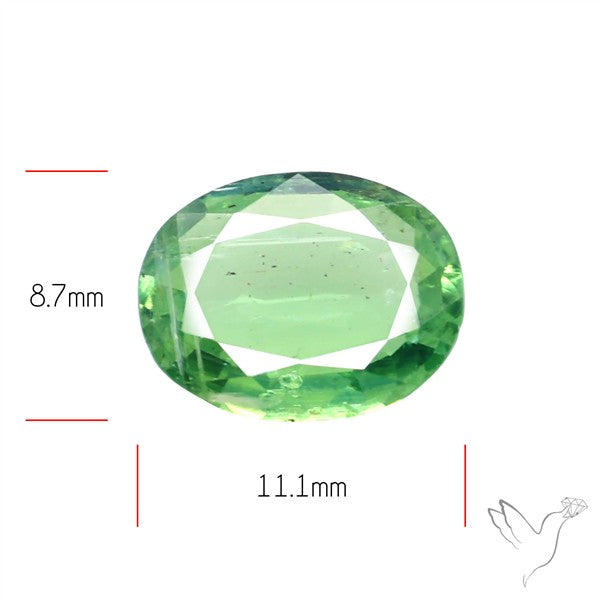 Fine Green Kyanite Rare Natural Green