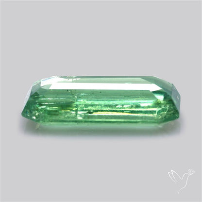 Fine Green Kyanite Rare Natural Green