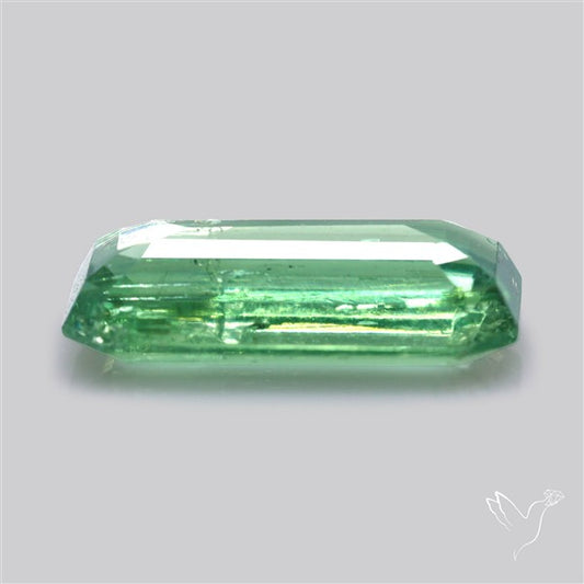 Fine Green Kyanite Rare Natural Green