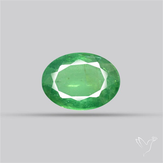 Fine Green Kyanite Rare Natural Green