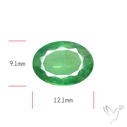 Fine Green Kyanite Rare Natural Green