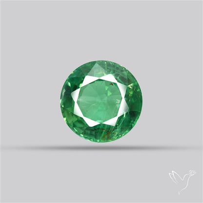 Fine Green Kyanite Rare Natural Green