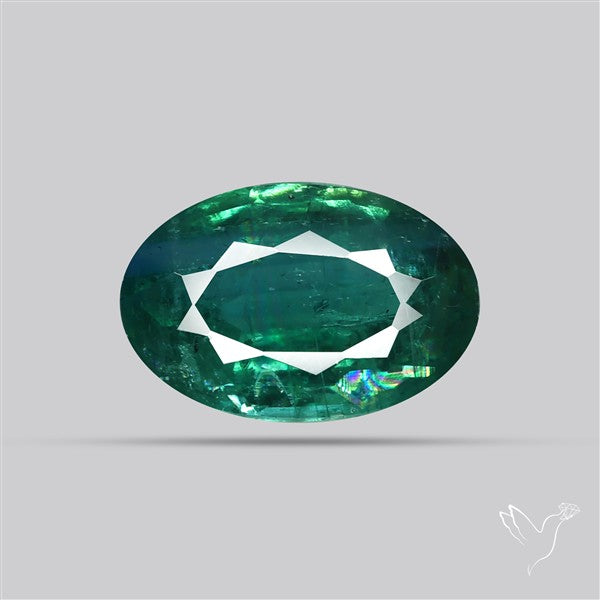 Rare Bi-color Kyanite Natural Blue Green Fine Gemstone